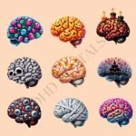 Brain PNG Clipart