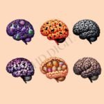 Brain PNG Clipart